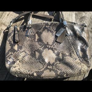 Coach foax snake skin